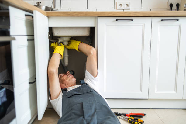 Best Local Plumber Services  in Eulyptus Hills, CA