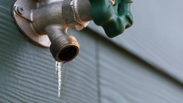 Best Plumbing Services Near Me  in Eulyptus Hills, CA